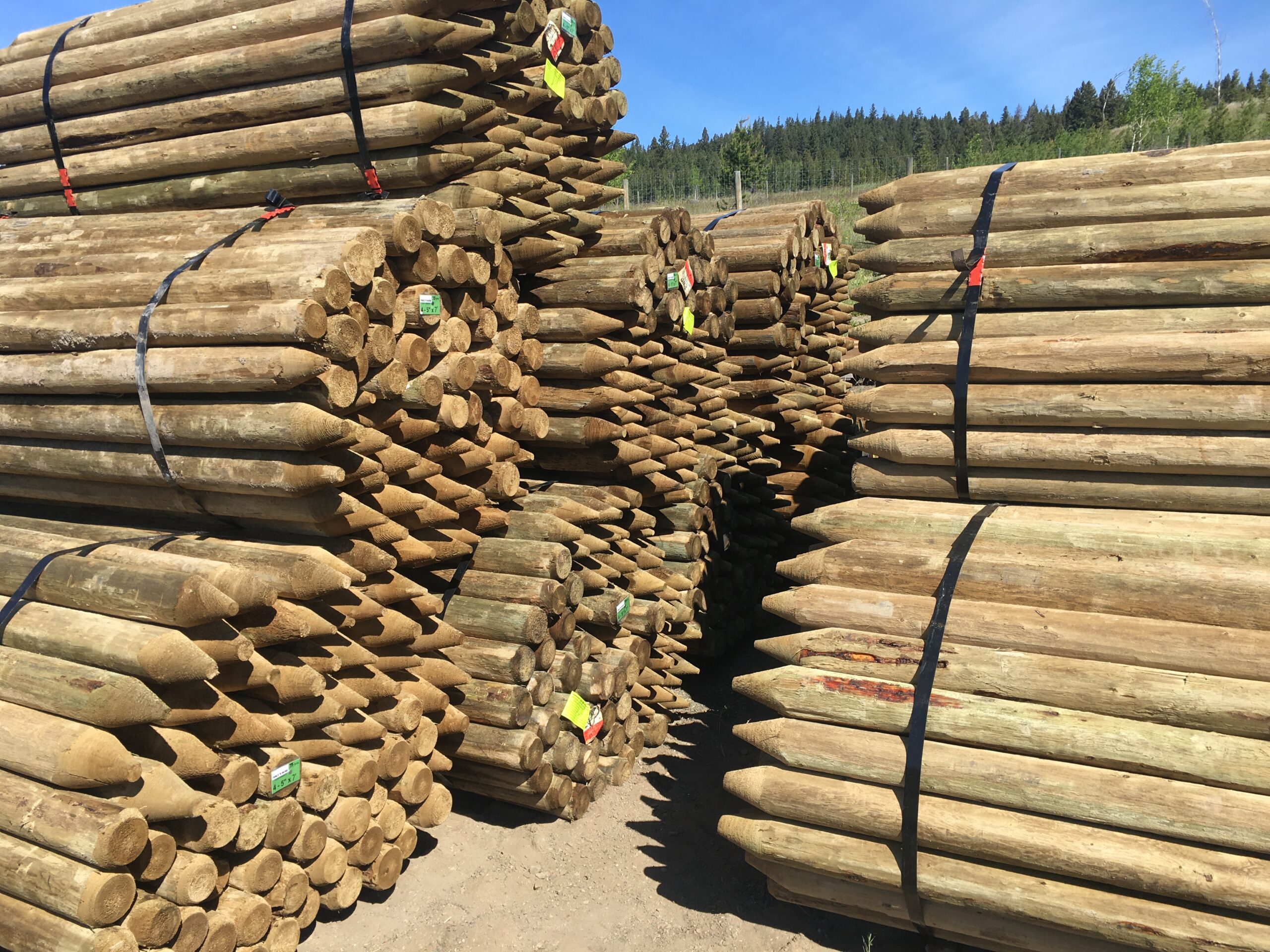 Pressure Treated PWP Wood Posts 'N Rails